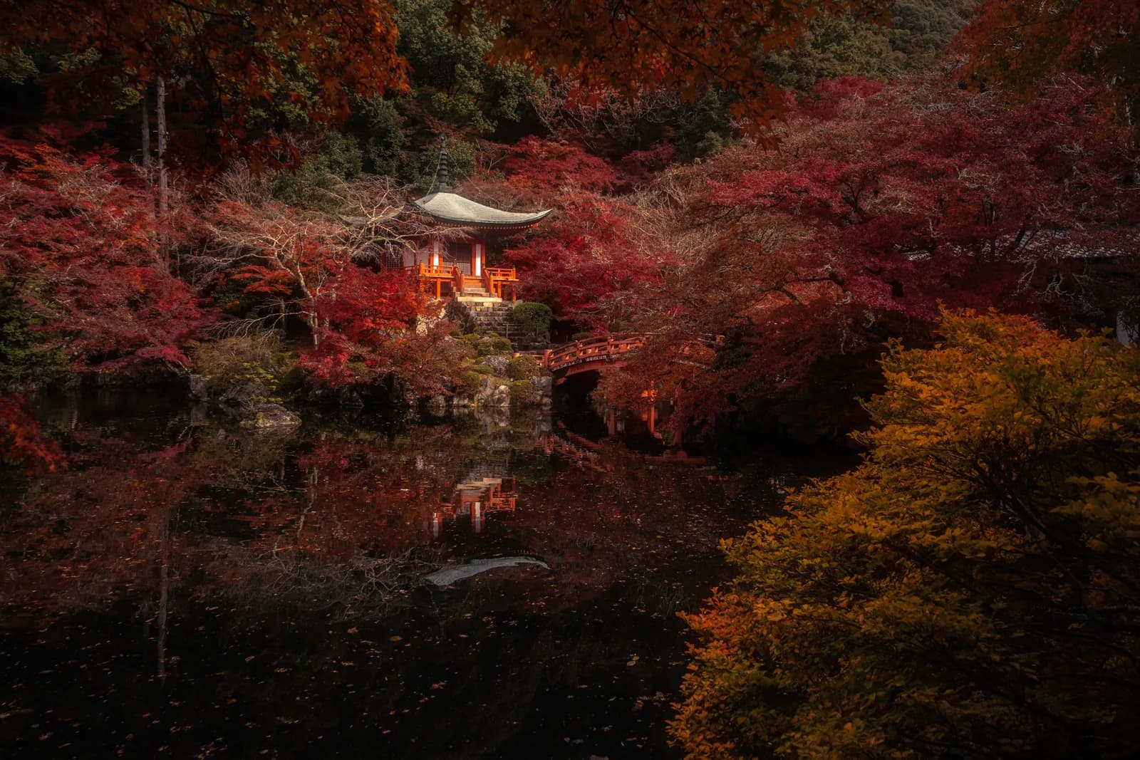 Best Autumn Photography Spots in Japan