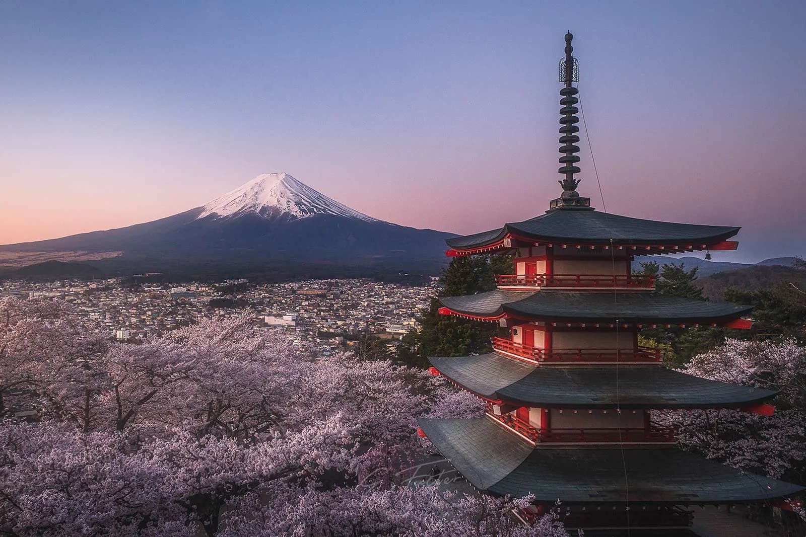 Best Sakura Photography Spots in Japan